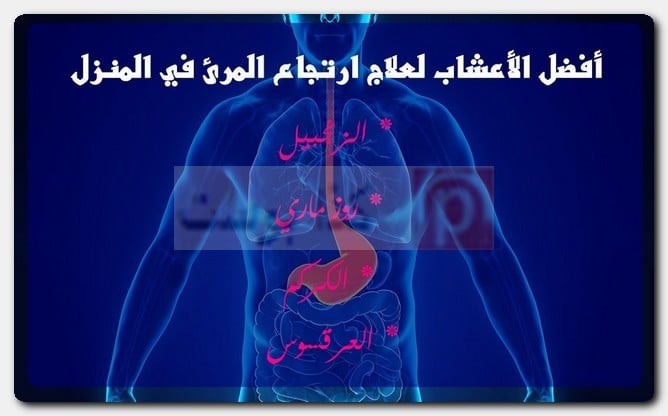 أفضل الأعشاب لعلاج ارتجاع المرئ في المنزل