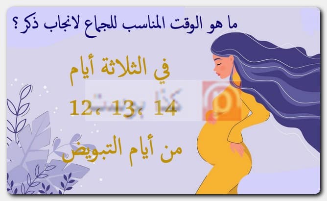 تجارب الحمل بولد أيام التبويض