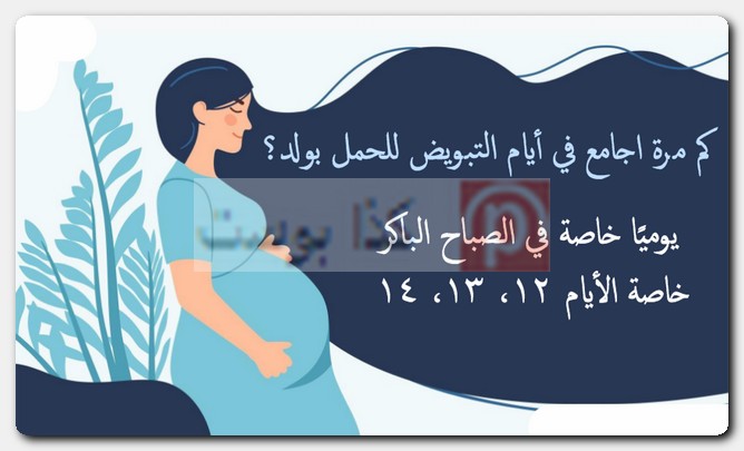 تجارب الحمل بولد أيام التبويض